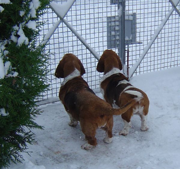 schnee 011