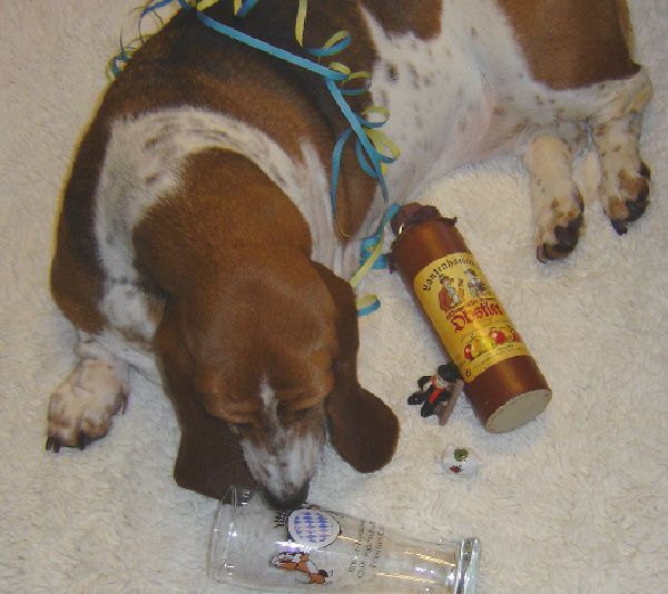 silvester 000