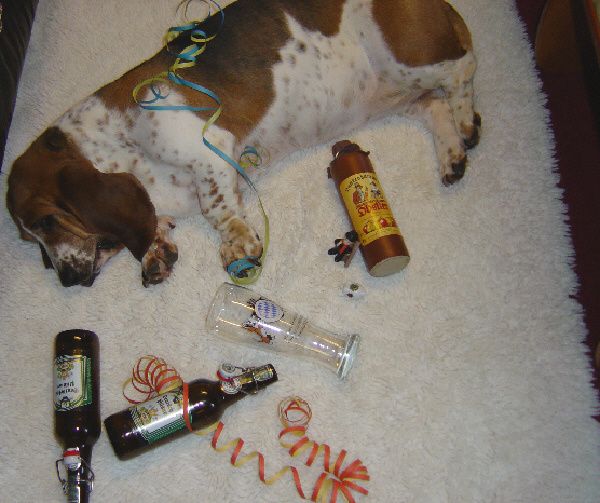 silvester 001