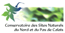 LOGOCSN.gif