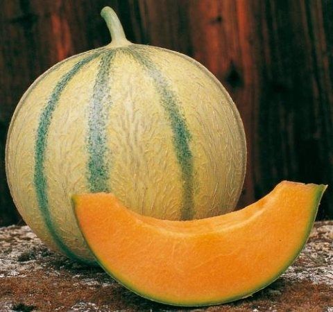 melon-charentais.jpg