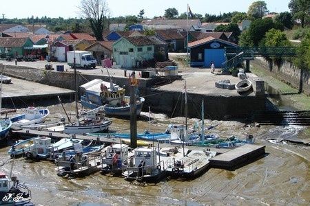 6174500_p.jpg