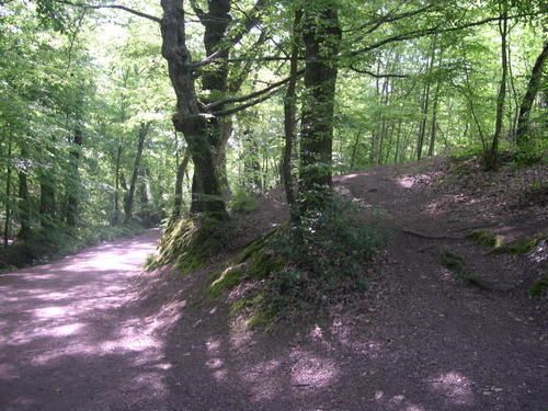 broc liande 048