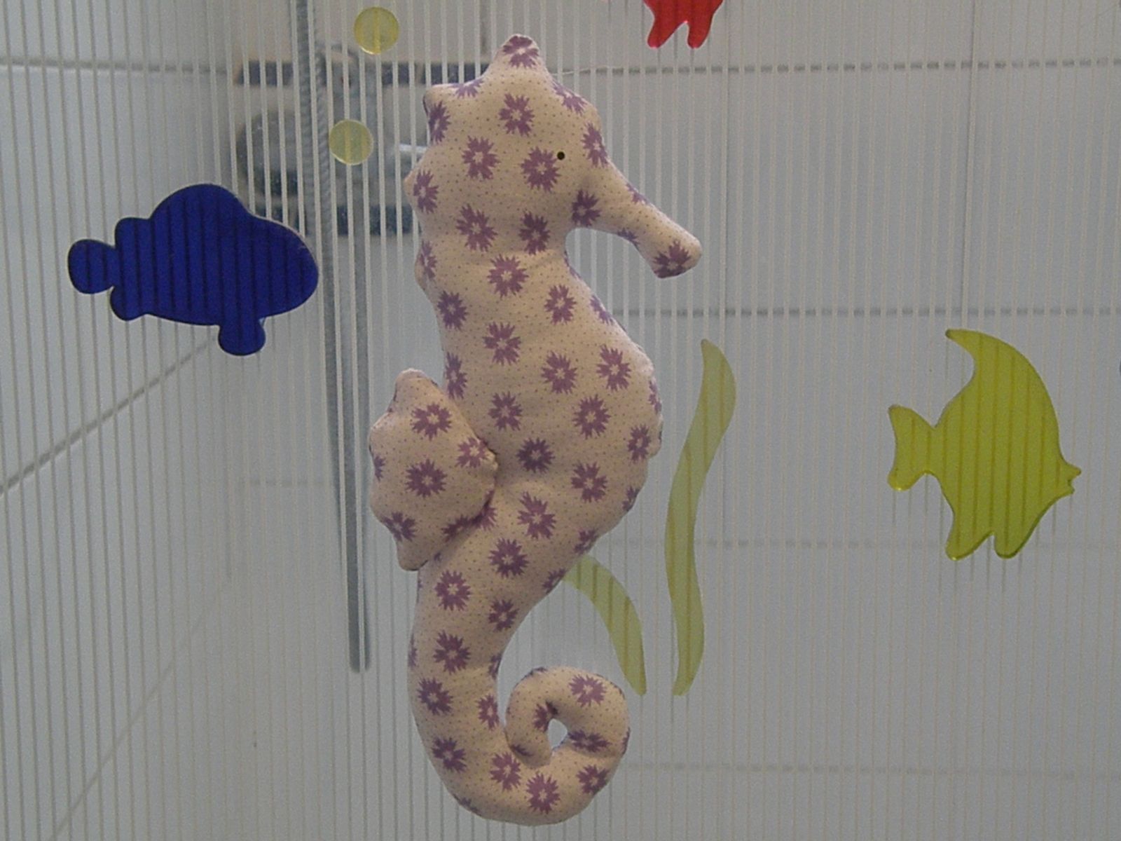 hippocampe Tilda null