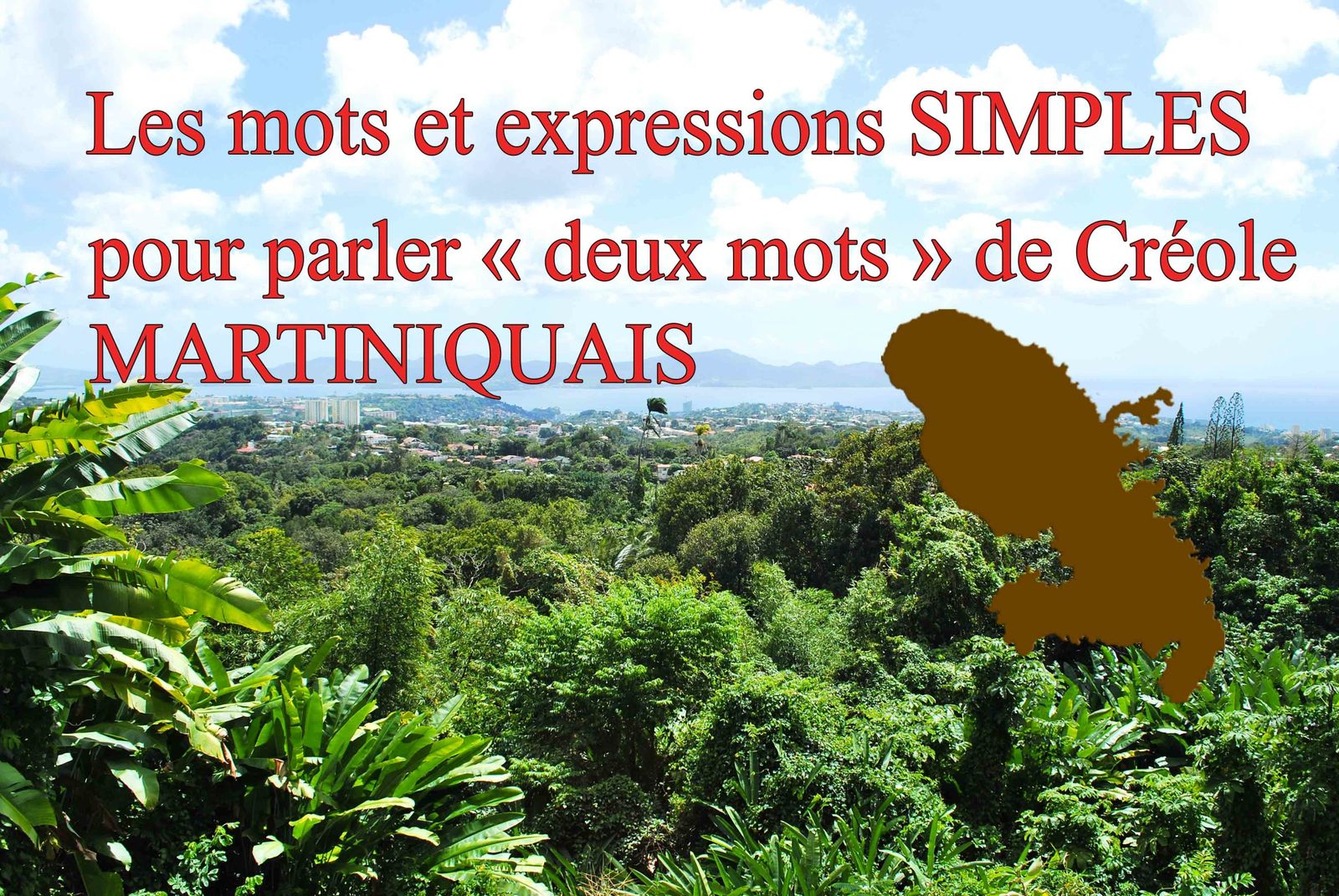 zananas rencontre