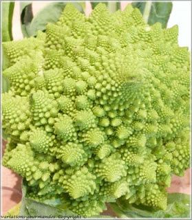 romanesco cru