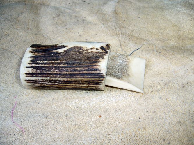 préhistoire expérimentale : gouge emmanchée reconstituée par Hervé Beaudouin préhistoire en Lorraine : gouge emmanchée reconstituée par Hervé Beaudouin