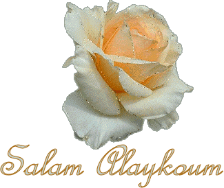 Roses-blanches