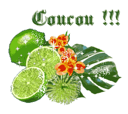 Gif Coucou