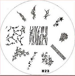 h23