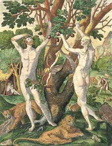 16 bry for the usa adam and eve