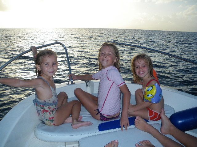 rencontre avec les dauphins club med punta cana