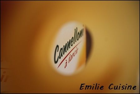 Cannelloni1