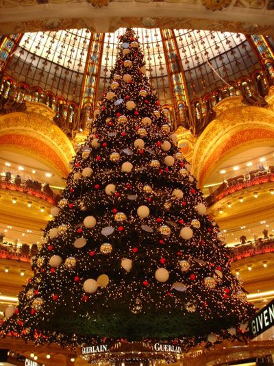 sapin noel lafayette paris