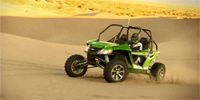 wildcat33d200x100