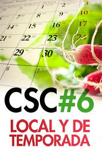 CSC#6