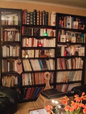 http://idata.over-blog.com/3/26/44/31/divers/biblio1.jpg