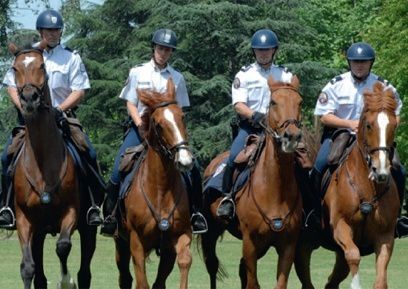 Les-policiers-equestres-et-leurs-chevaux-au-salon-du-cheval