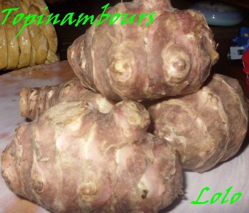 topinambour.jpg