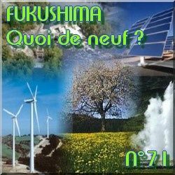 QDN-N-71-l-apres-fukushima-nucleaire-energies-nouvelles.jpg