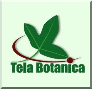 logo-web-tela-botanica-in-natures-paul-keirn.jpg
