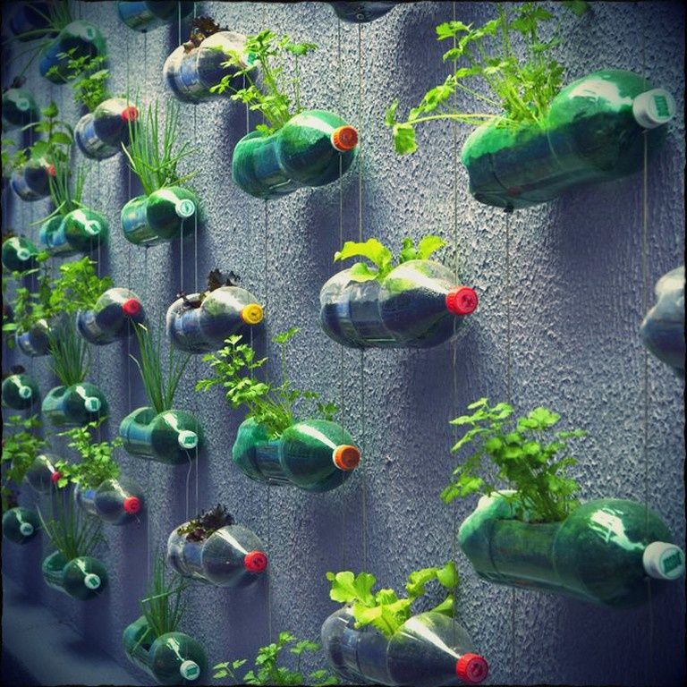 Comment Créer Un Jardin Vertical Potager Ou D Agrément Natures Jardins Potagers Vertical Verticaux 26