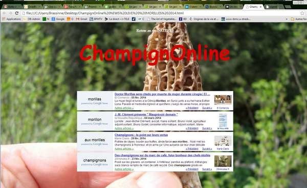 jpeg-morilles-news-live-in-natures-paul-keirn.jpg