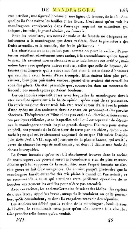 La Mandragore & Harry Potter : fiction et réalité - Natures Paul Keirn  NATURES, SCIENCE & TRADITIONS, CONSOMMATION & SANTÉ