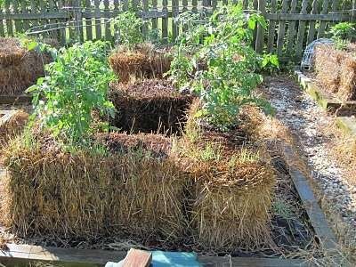 Comment faire son potager sur bottes de paille ? - Natures Paul Keirn  NATURES, SCIENCE & TRADITIONS, CONSOMMATION & SANTÉ