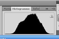 histogramme normal