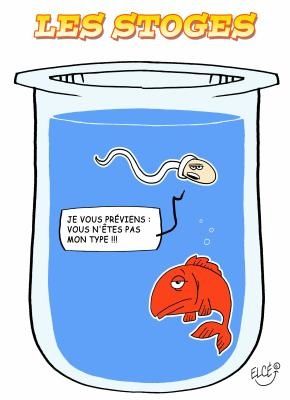 Expèrience aquatique