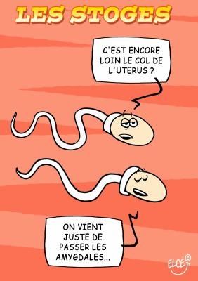 Un très long parcours...