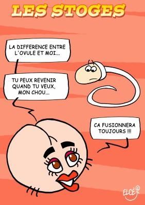 Cellule Gay : La Fusion éternelle