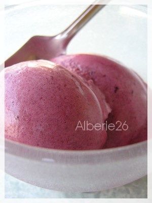 sorbet-mure.jpg