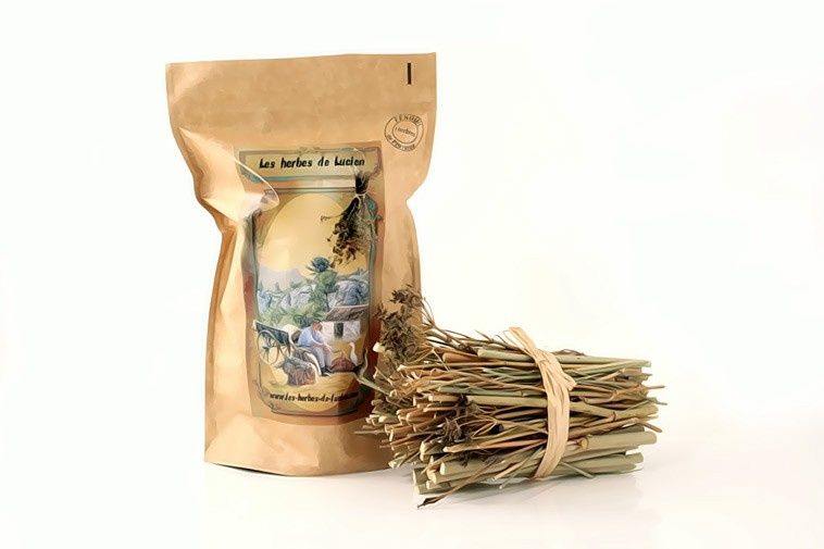 fenouil-gros-bouquet.jpg