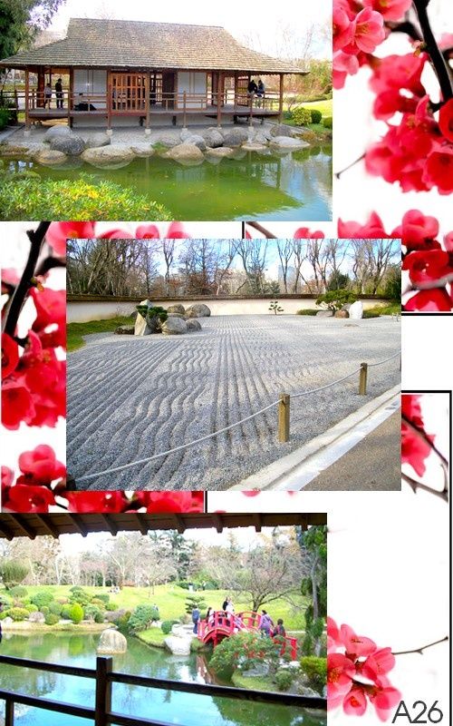 jardin-jap.jpg