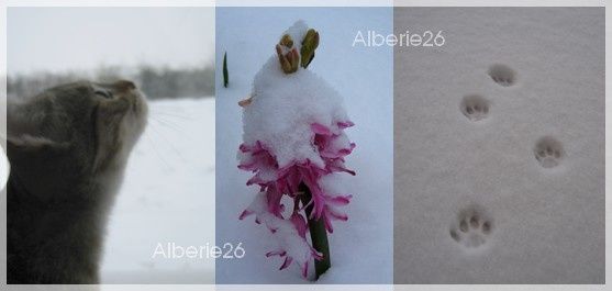 neige-bb-copie-1.jpg