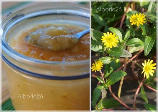 confiture-de-babane-feve-tonka2.jpg