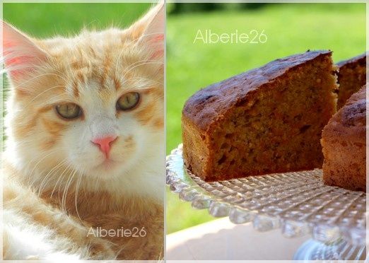 gateau-carotte-noisette2.jpg