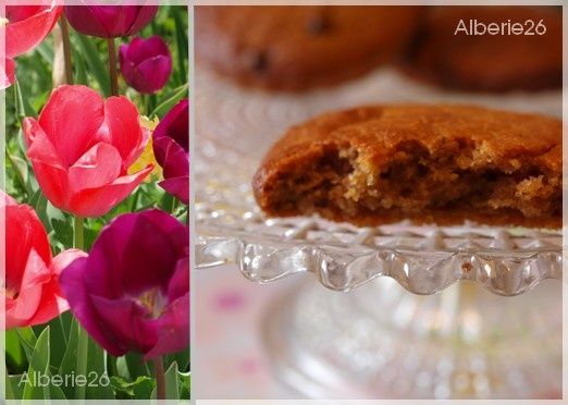 gateaux-beurredeC-choco2.jpg