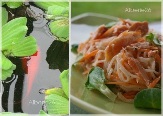 salade-nouille-poulet2.jpg