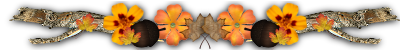 0_9b5af_c0f64545_L.png