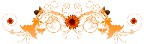 364665e4.png