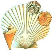 059