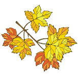 090926071841691672.gif