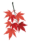 090926074047984114.gif