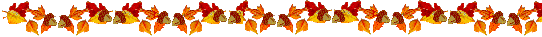 30813zx4-copie-1.gif