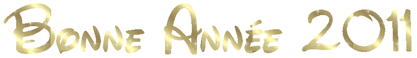 or-01-bon-an-2011.gif