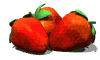 strawberries_rocking_md_wht.gif