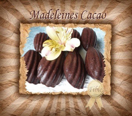 Madeleine-cacao.jpg